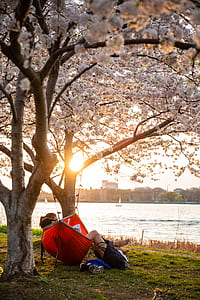 two person in red hammock during day time thumbnail