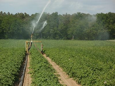 brown irrigation water sprinkler sprinkling water into plants during daytime thumbnail
