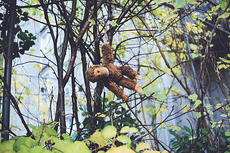 brown gorilla plush toy hanging on vines thumbnail