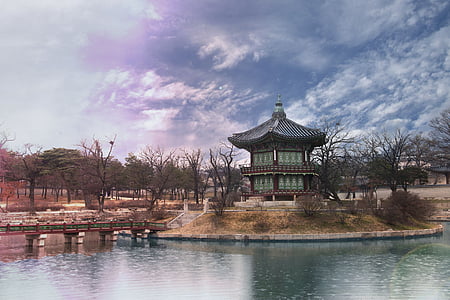 bare trees near temple thumbnail