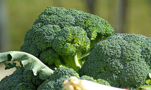 broccoli vegetables thumbnail