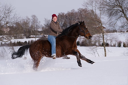woman on horse while galloping above thick snow at daytime thumbnail