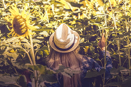 woman in sunflower field thumbnail