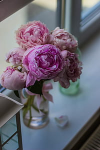flowers, petals, blur, bloom thumbnail