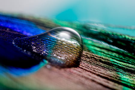 close-up photo of water drop on wooden surface thumbnail