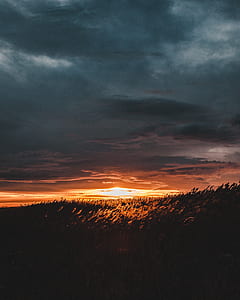 sunset across grass field thumbnail