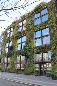 green grass building wall during daytime thumbnail