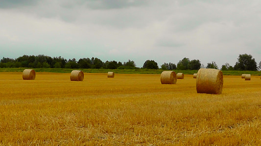 rolled hays under gray clouds thumbnail