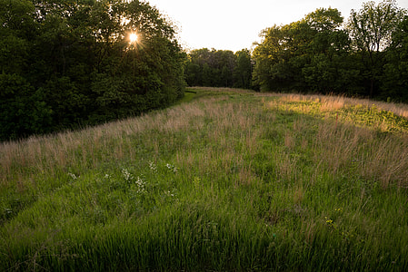 Sun and Prairie View Landscape thumbnail