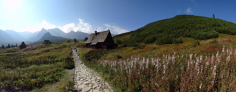 green grass field with pathway near mountains thumbnail