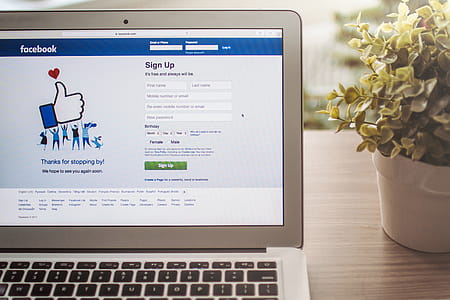 Detail of login Facebook page app on Laptop thumbnail