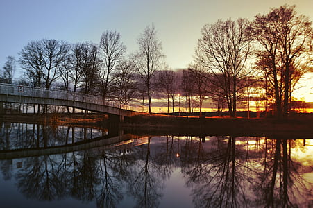sunset above concrete bridge surrounded by trees thumbnail