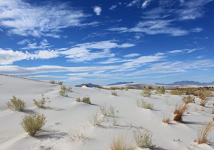 white and brown desert field under cloudy sky thumbnail