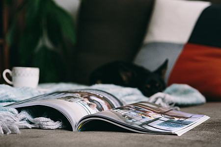 Resting with magazine and cute puppy thumbnail