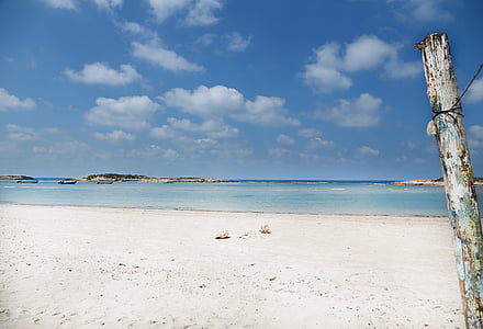 seashore under blue sky thumbnail