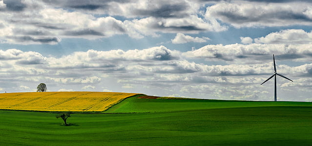 green grass field thumbnail