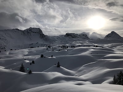 snow filled land with pine trees thumbnail