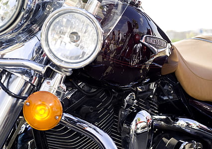 black Harley-Davidson motorcycle thumbnail