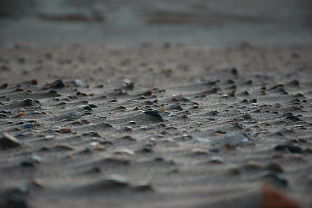 selective focus photography of soil thumbnail