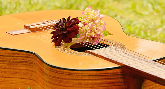 red and yellow flowers on brown classical guitar thumbnail