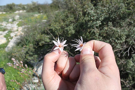 person holding flower thumbnail