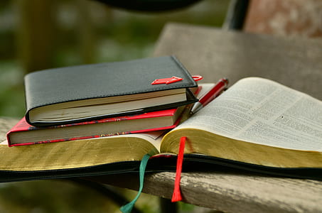 bookmarks-books-education-knowledge-thum