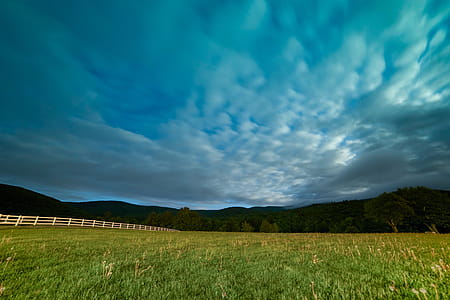 Green Grass Field thumbnail