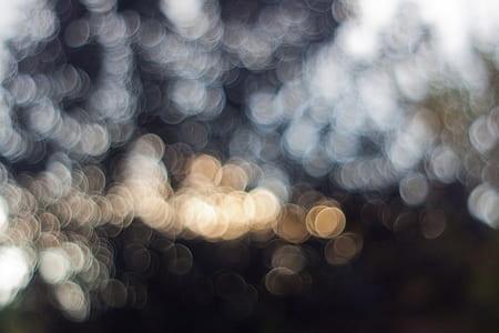 boke photography thumbnail