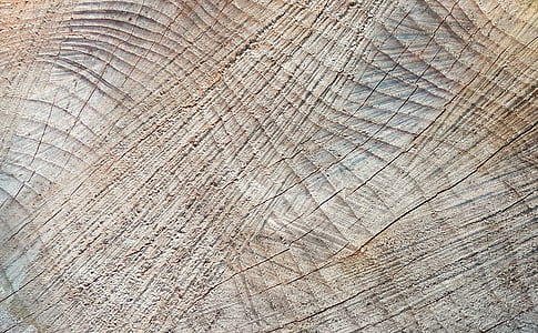 closeup of brown ground thumbnail