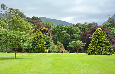 green trees during daytime thumbnail