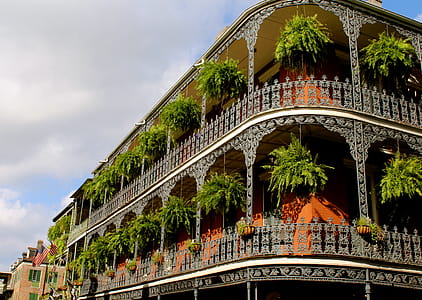 White High-rise Building With Green Leaf Hanging Plants thumbnail