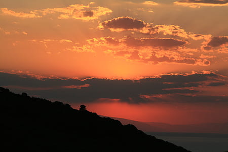 silhouette of trees thumbnail