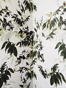 white and green floral wall paints thumbnail