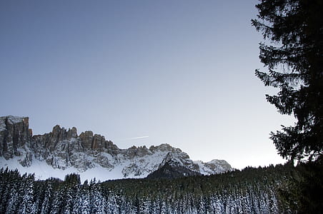 Mountain Alps surrounded with trees thumbnail