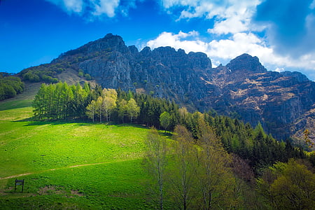green trees near mountains under blue sky thumbnail