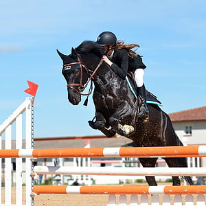 person wearing black shirt on brown horse during daytime thumbnail