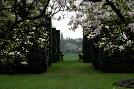 garden maze thumbnail
