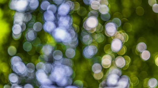 bokeh photography thumbnail