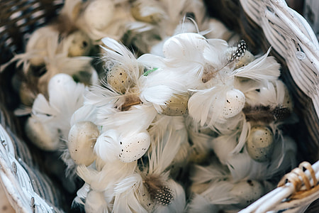 Fancy restaurant dinner table decorated with quail eggs and feathers thumbnail