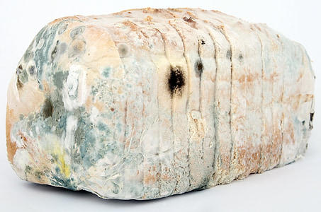 rotten loaf bread thumbnail