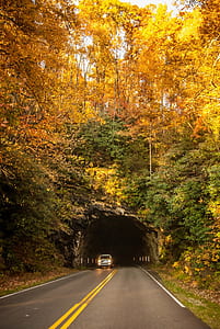 car inside tunnel during daytime thumbnail