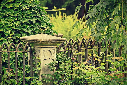 black metal gate surrounded by green leaf plant thumbnail