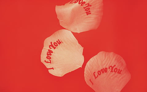 three I Love You petaled flowers thumbnail