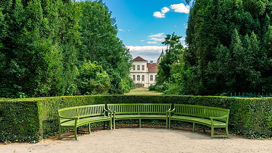 bench near bush and trees thumbnail