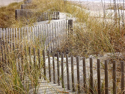 Brown Wooden Fence thumbnail