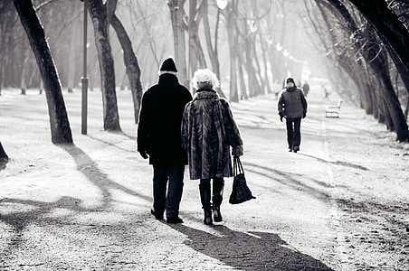 grayscale photo of people walking on pathway between trees thumbnail