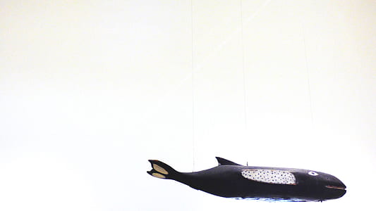 black plastic fish toy thumbnail