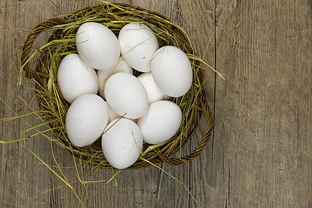 white eggs on nest thumbnail
