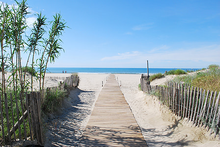 narrow brown wooden dock under blue sky at daytime thumbnail