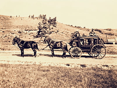 brown carriage and horse thumbnail